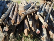 reclaimed-poles-6_-10_