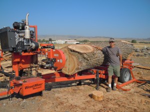 portable sawmill